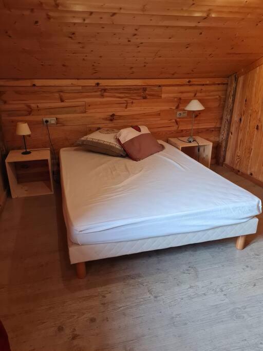Chalet Familial - Pyrenees, Au Coeur Des 3 Stations La Cabanasse Kültér fotó